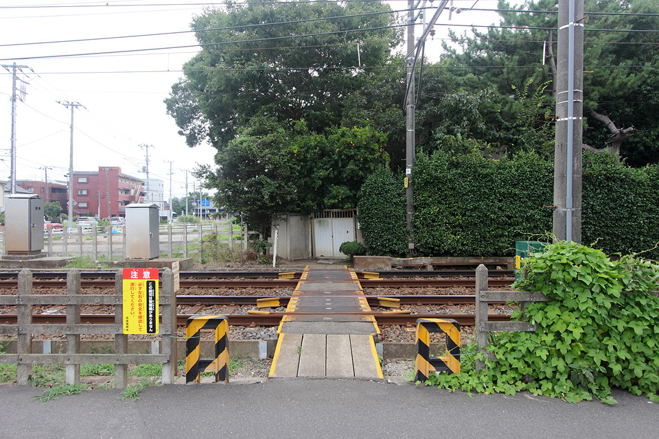 Y06728i.jpg