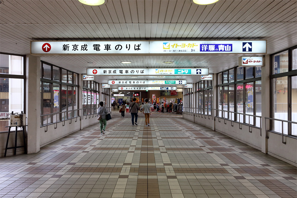 D70766.jpg