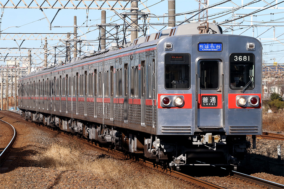 D73223.jpg