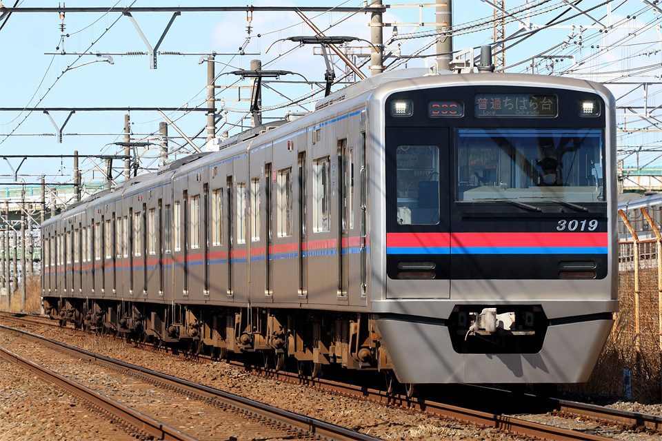D73781.jpg