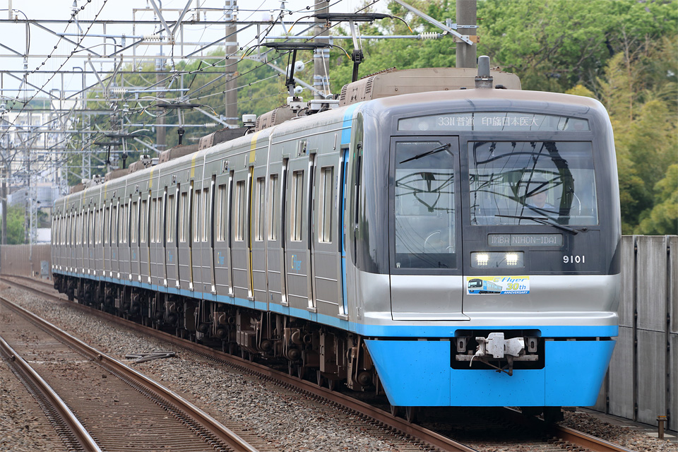 D74513.jpg