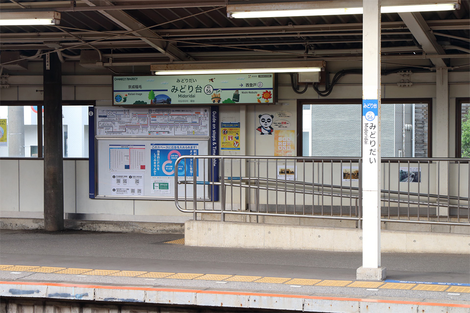 D74617.jpg