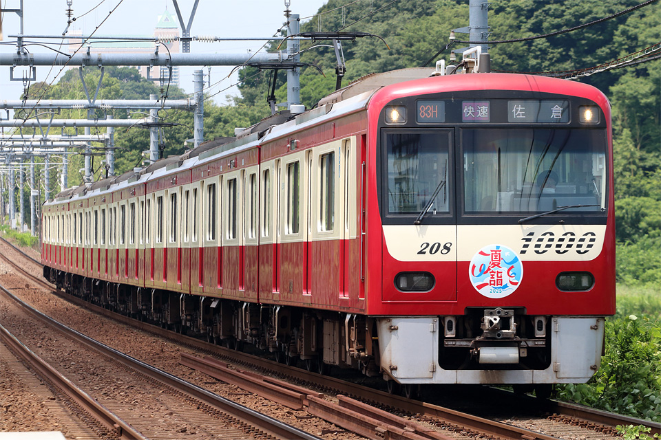 D75389.jpg