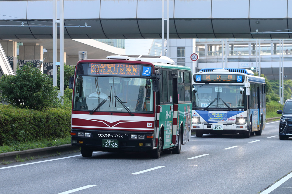 D75433.jpg