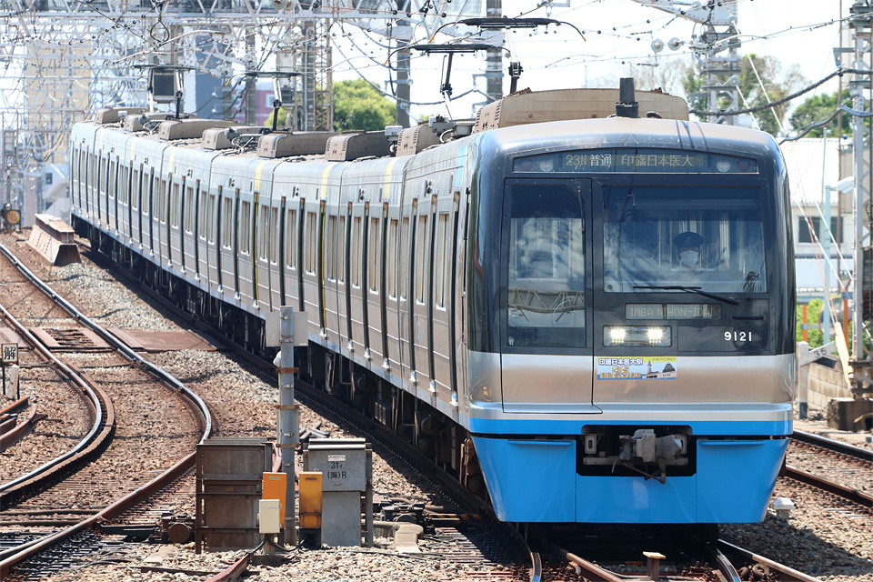 D75517.jpg