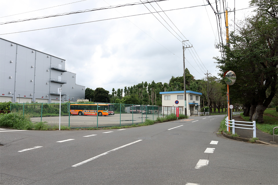 D75575.jpg