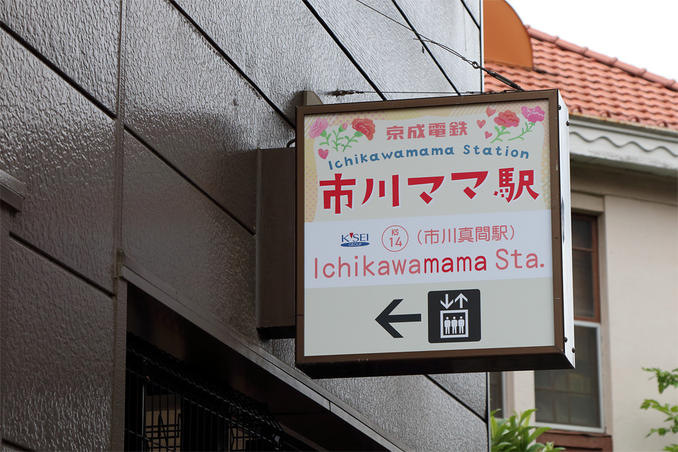 D77761.jpg