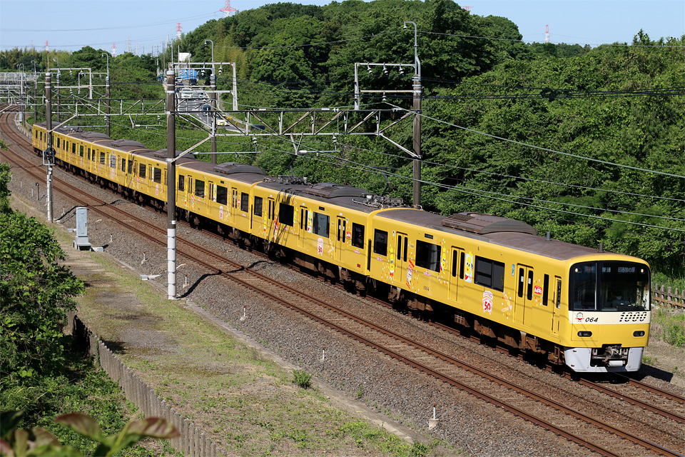 D77851.jpg