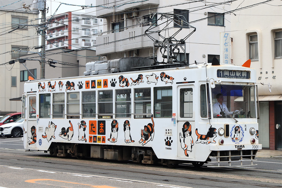D77886.jpg