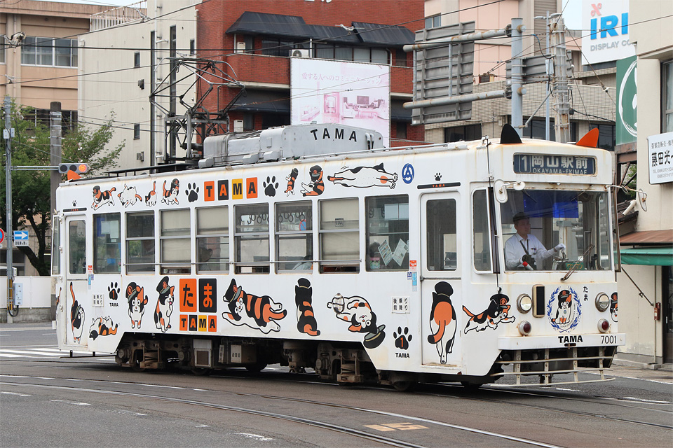 D77891.jpg