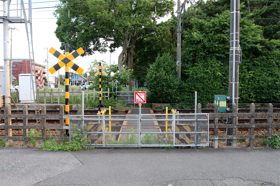 D78429.jpg