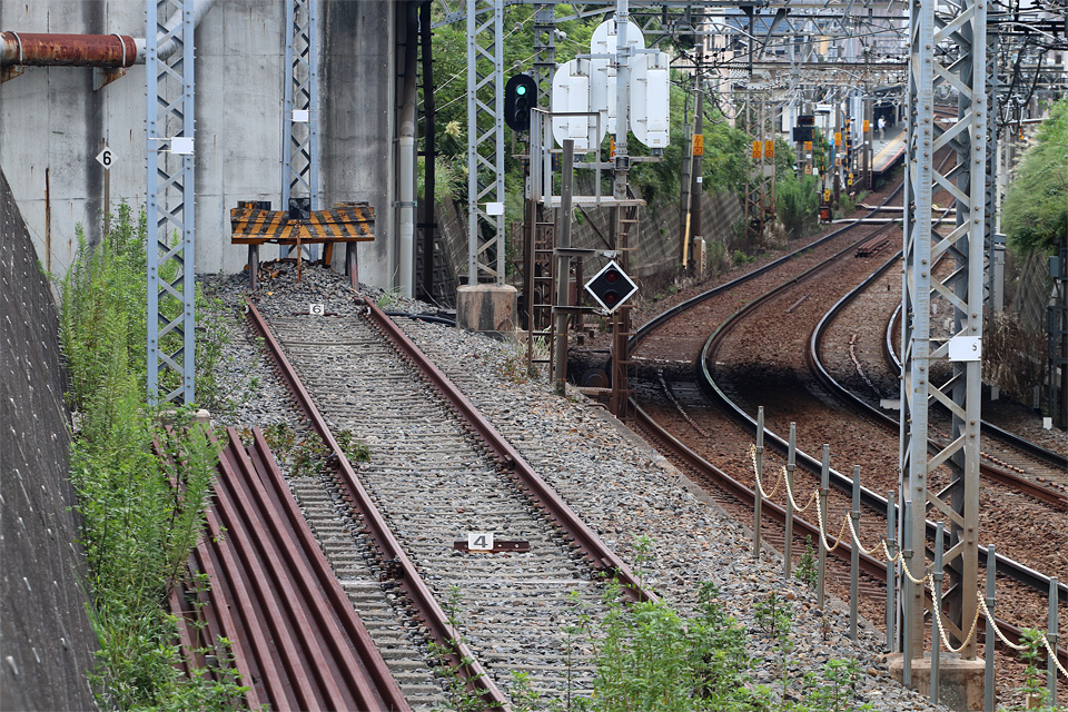 D78946.jpg