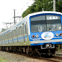 伊豆箱根鉄道2008年秋 1  - ヘッドマーク電車3題