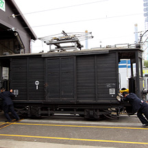 静岡鉄道 2010年春 5 - 長沼のヌシ、デワ1