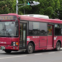 ちばレインボーバス307号車 京成トランジットバスカラーのエルガミオ