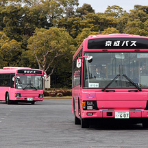 京成バス0101・0102・0103号車 ピンク色の貸切車